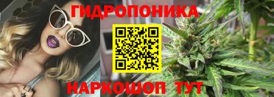стафф Бийск