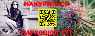 стафф Бийск