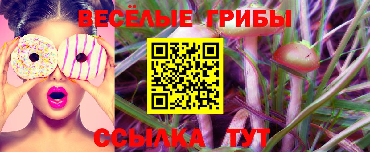 Галлюциногенные грибы Magic Shrooms  Вход с VPN  Галлюциногенные грибы Psilocybe  Ипатово 